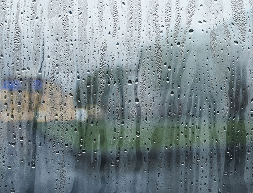 Foggy-Window-Repair-Shelton-WA
